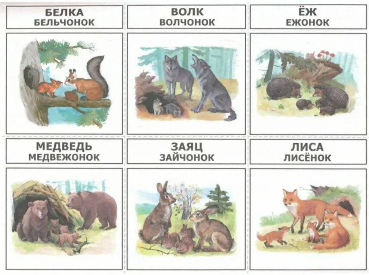 Развитие речи зайцы старшая группа. Карточки с дикими животными. Дикие животные и их Детеныши. Детеныши диких животных для детей. Карточки с лесными животными.