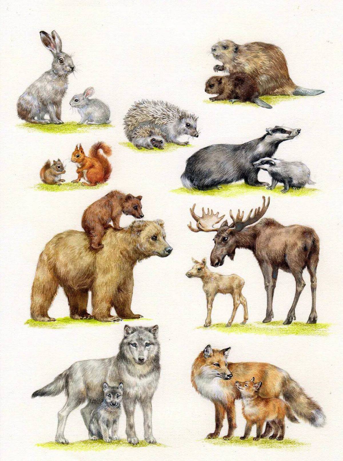 картинки животных для детей для макета