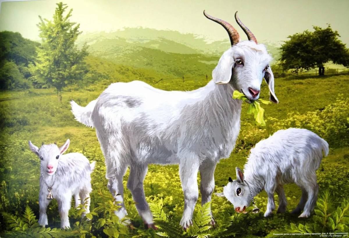Дети года козы. Коза с козлятами Веретенникова. С веритников коза с козлямами. Коза для детей. Картина коза с козлятами Веретенникова.