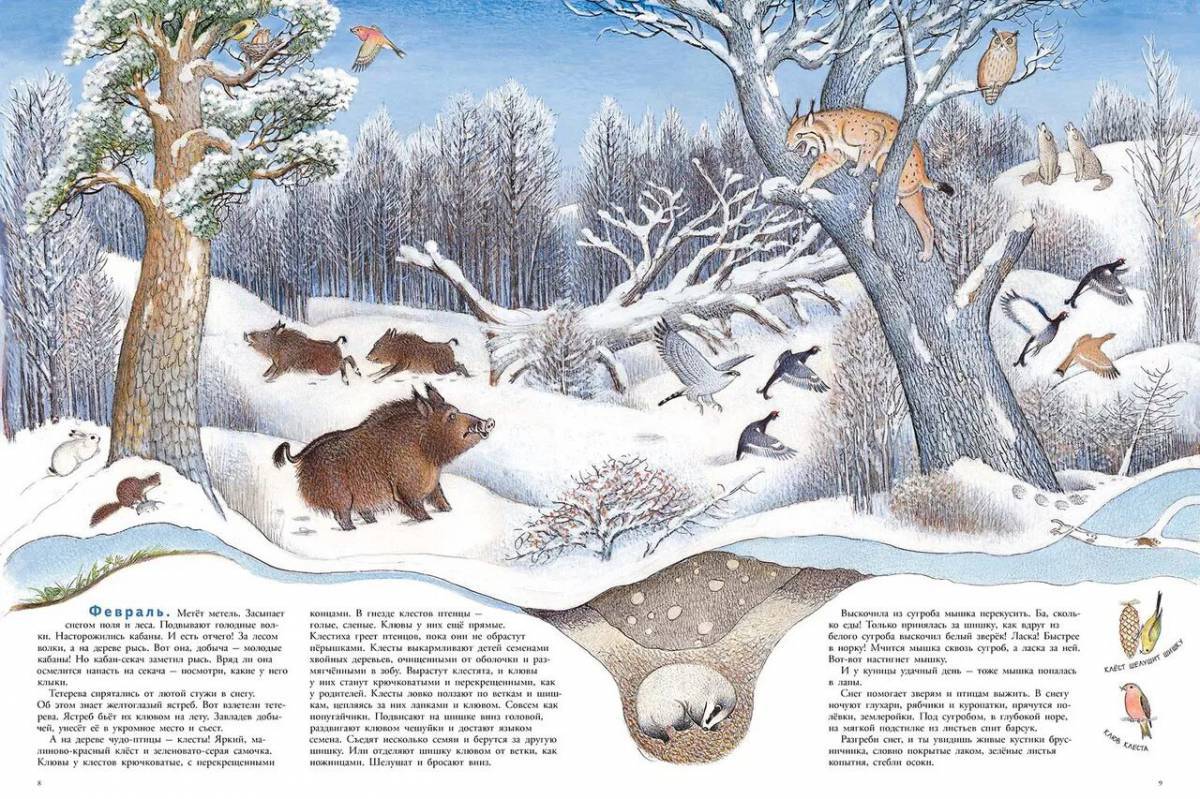 Для детей дикие животные зимой #6