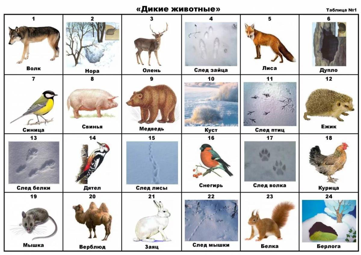 Для детей дикие животные зимой #32