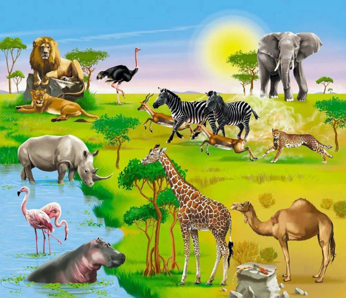 Для детей животные африки #8