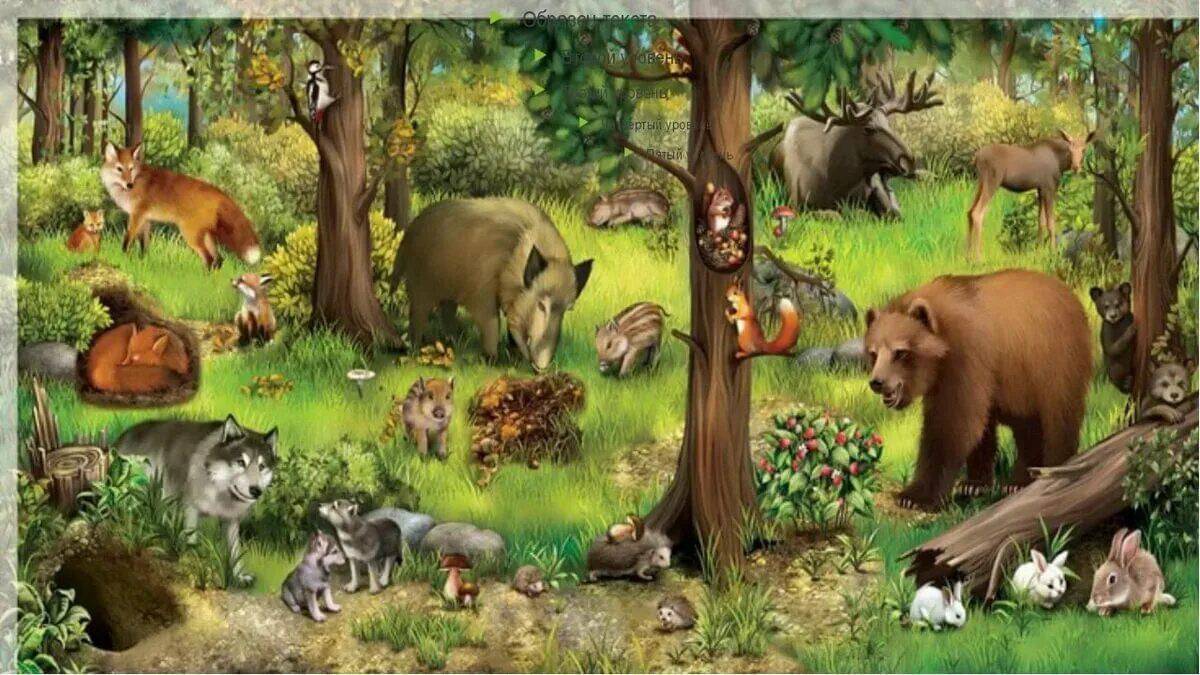 Для детей животные леса #20