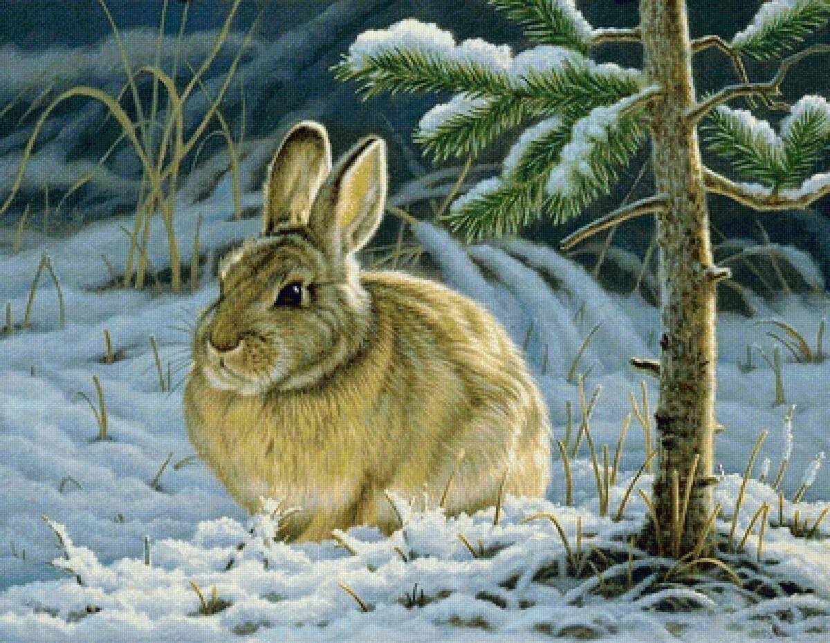 Для детей заяц зимой #10