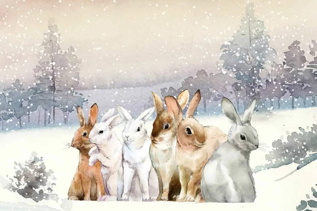 Для детей заяц зимой #21