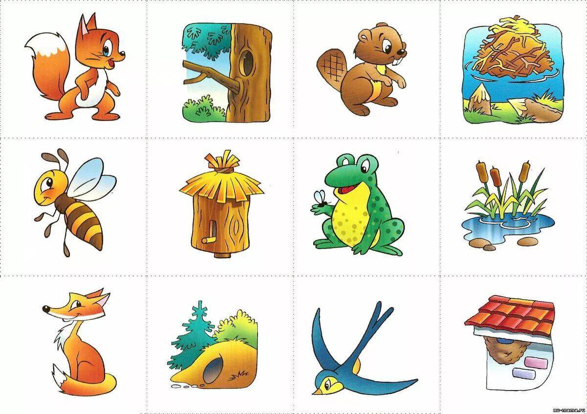 картинки для изучения животных для детей