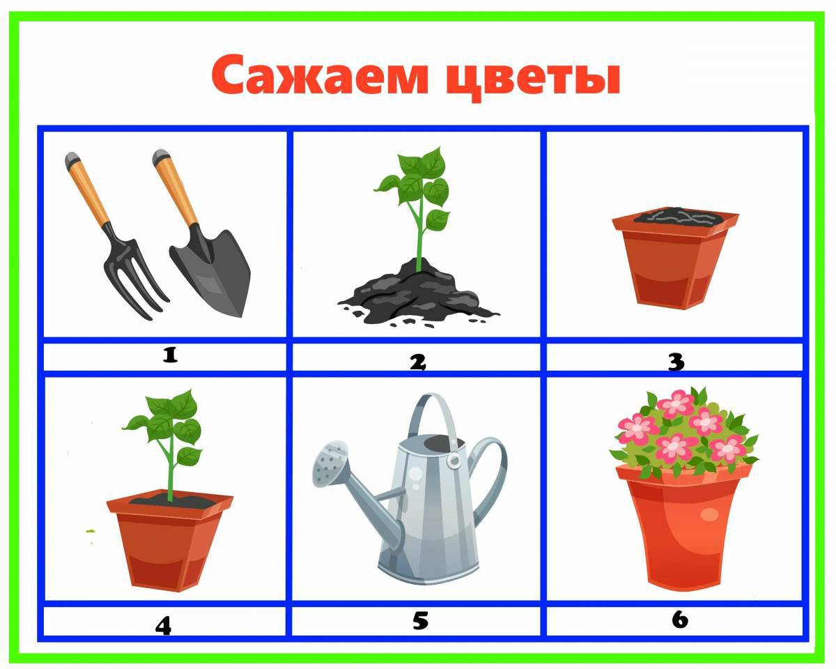 Для детей комнатные растения #34