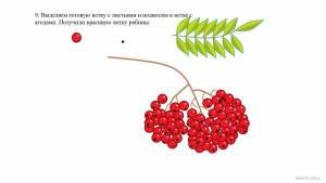 Раскраска для детей веточка рябины #3 #281917