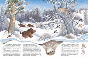 Раскраска для детей дикие животные зимой #6 #282569