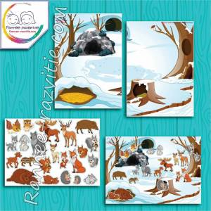Раскраска для детей дикие животные зимой #33 #282596
