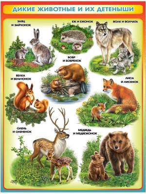 Раскраска для детей дикие животные и их детеныши #36 #282638