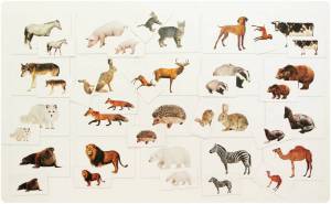 Раскраска для детей дикие животные и их детеныши #37 #282639