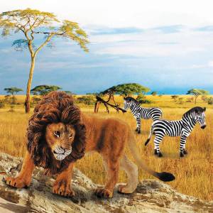 Раскраска для детей животные африки #25 #283094