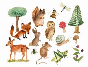 Раскраска для детей животные леса #9 #283194
