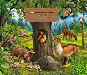 Раскраска для детей животные леса #11 #283196