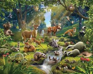 Раскраска для детей животные леса #14 #283199