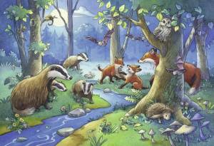 Раскраска для детей животные леса #17 #283202