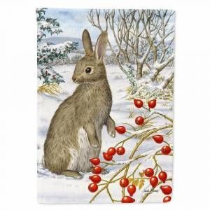 Раскраска для детей заяц зимой #9 #283232