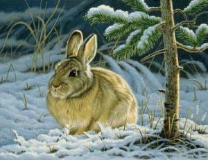 Раскраска для детей заяц зимой #10 #283233