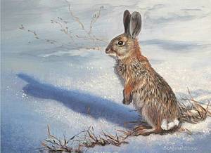 Раскраска для детей заяц зимой #16 #283239
