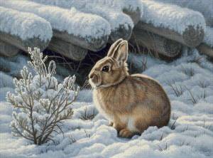 Раскраска для детей заяц зимой #17 #283240