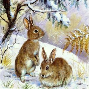 Раскраска для детей заяц зимой #32 #283255