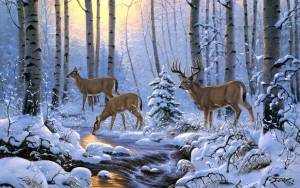 Раскраска для детей зимняя природа #31 #283408