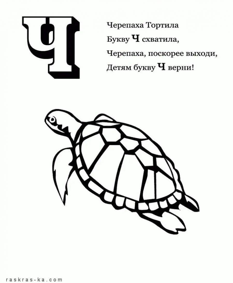 Черепаха сколько букв. Буква ч раскраска. Разукрашки на букву ч. Черепаха раскраска. Стих про букву ч.