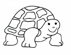 Раскраска для детей черепаха 3 4 лет #2 #287000