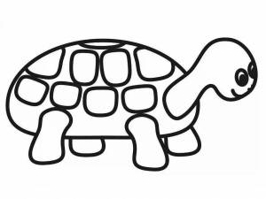 Раскраска для детей черепаха 3 4 лет #31 #287029