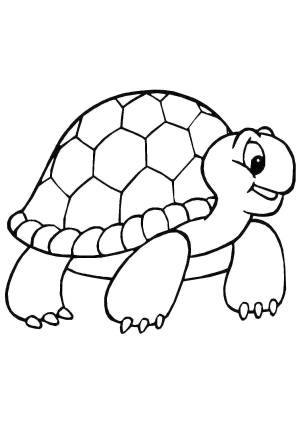 Раскраска для детей черепаха 3 4 лет #38 #287036