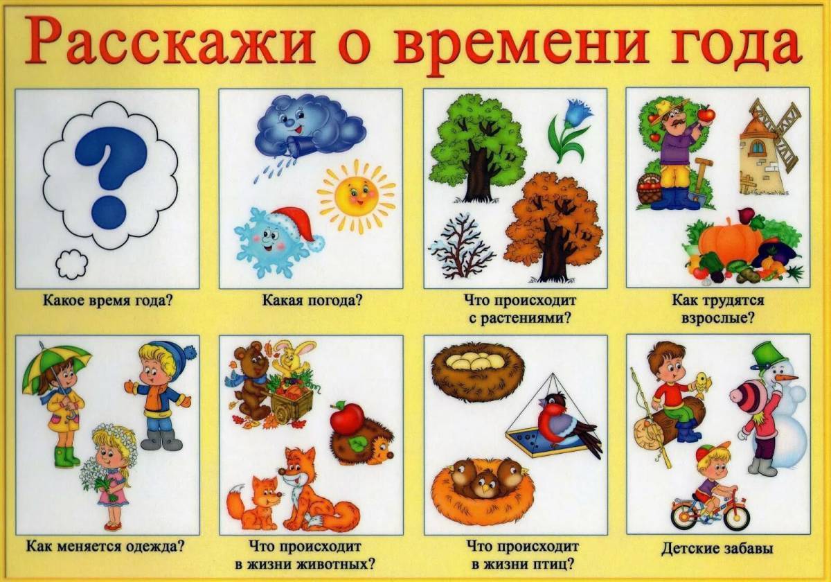 Модели наглядные пособия