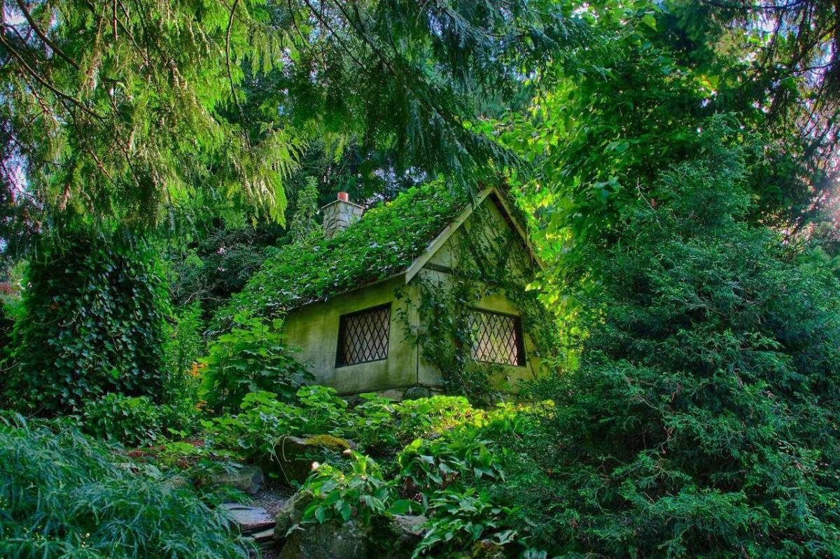 Хижина гномов, Британская Колумбия. Сказочный домик. Маленький домик. Домик в лесу.