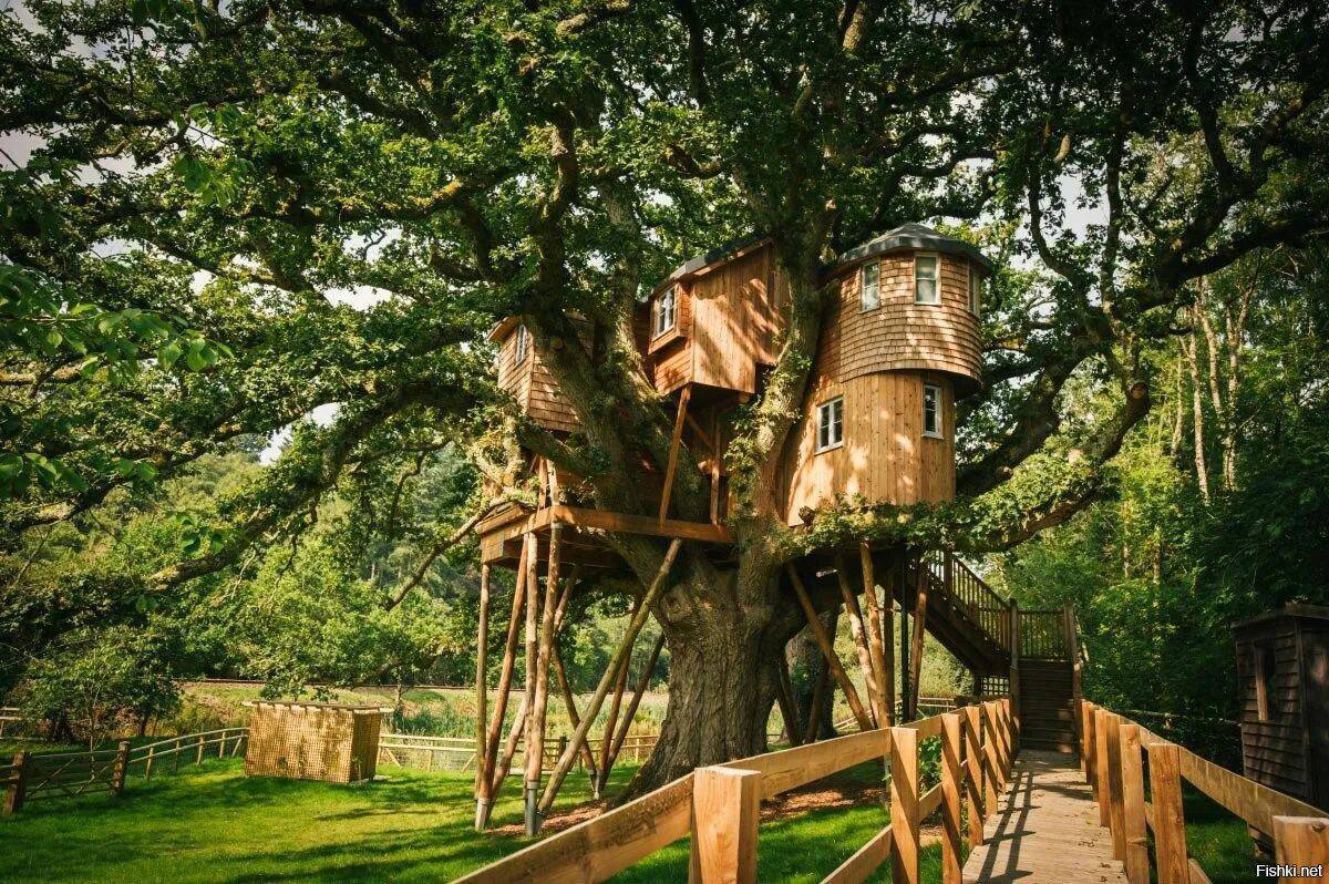 Дом дерево дитя 2023. Hobbit Treehouse, США. Алникский дом на дереве. Treehouse домик на дереве. «Дом на дереве» поселение Московский.