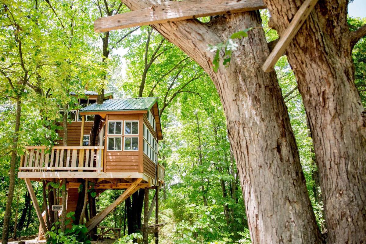 Orion Treehouses, Франция