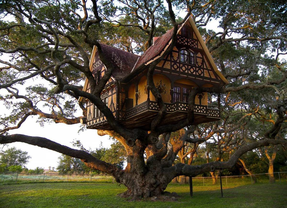 Жилой дом на дереве