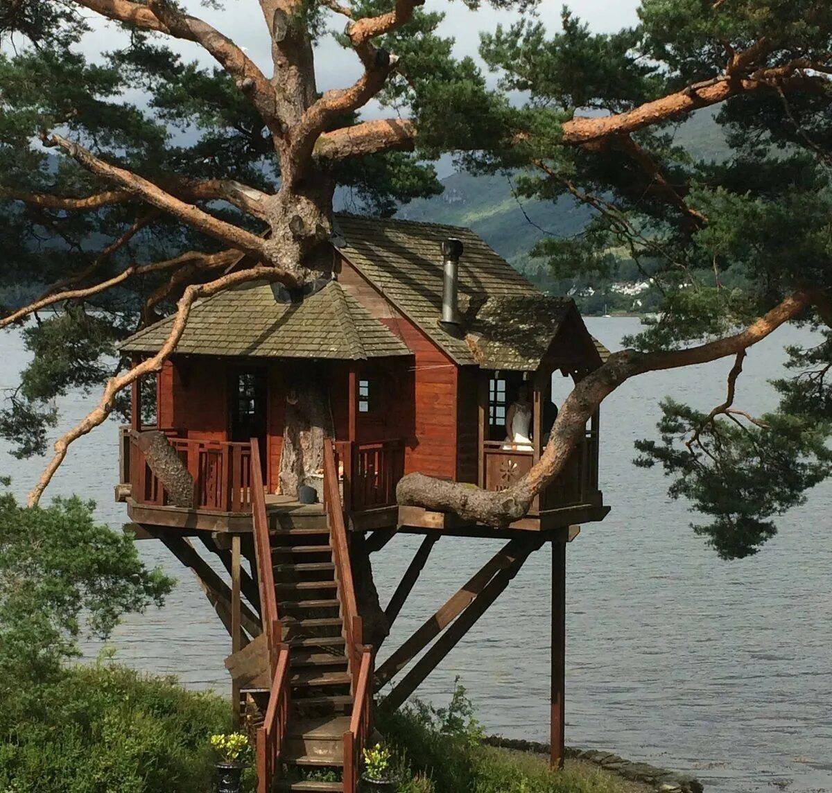 Жилой дом на дереве. Дом на деревьях Шотландия климанрюк. Домик на дереве. Деревянный домик на дереве. Необычные домики.