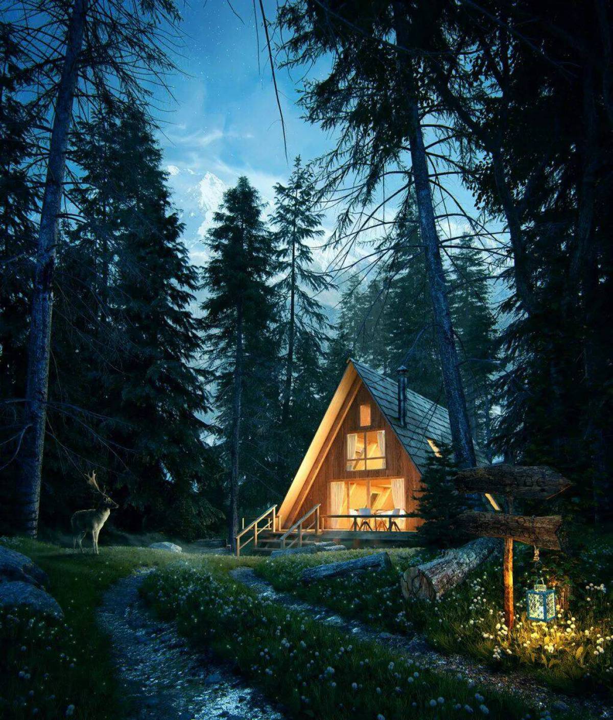 Дом в лесу #3