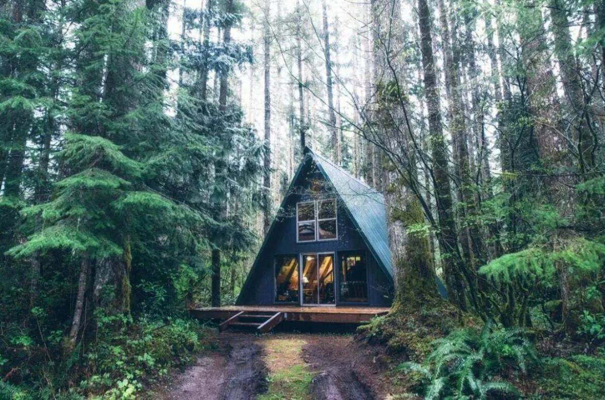 Дом в лесу #4