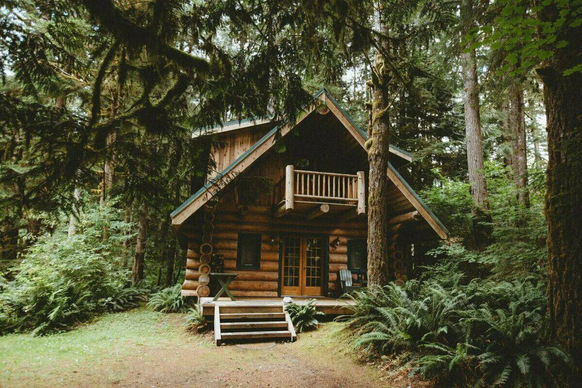 Дом в лесу #9
