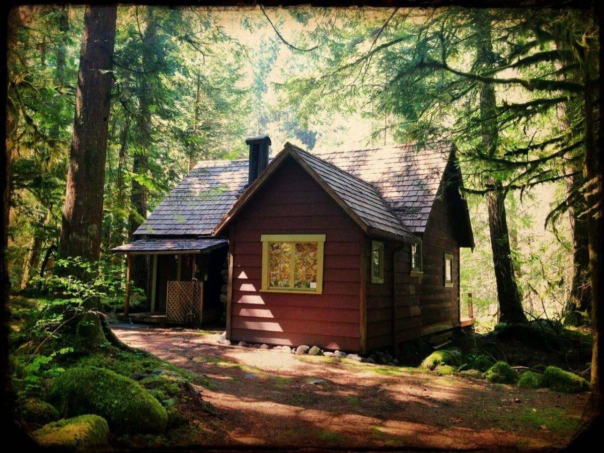 Дом в лесу #11