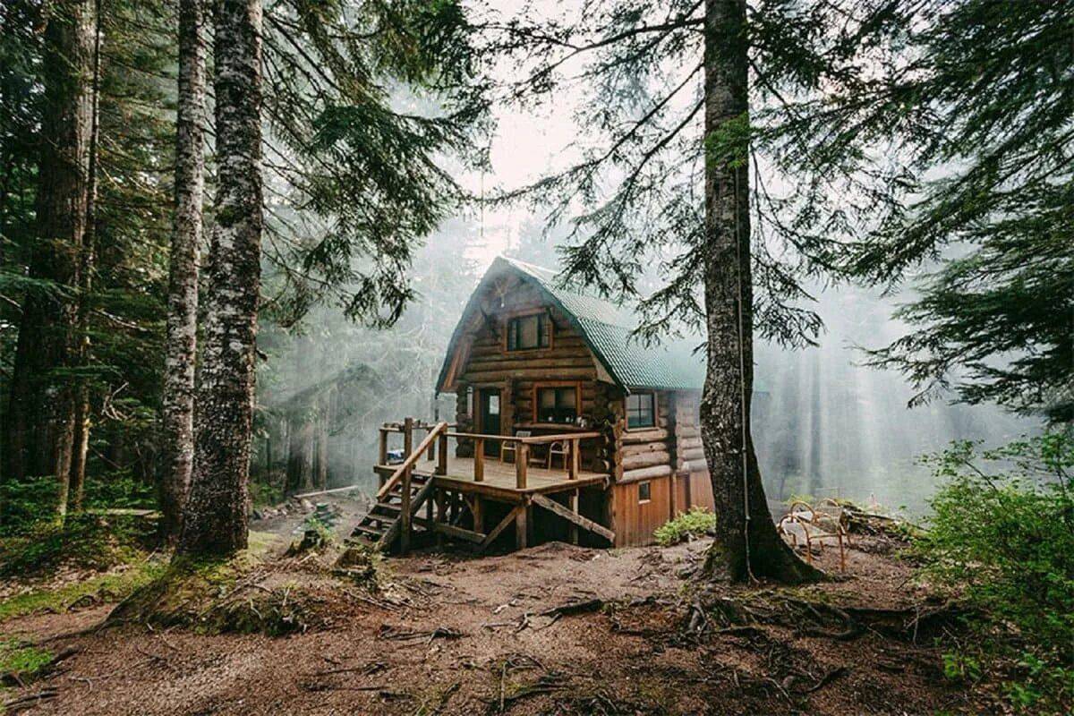 Дом в лесу #15