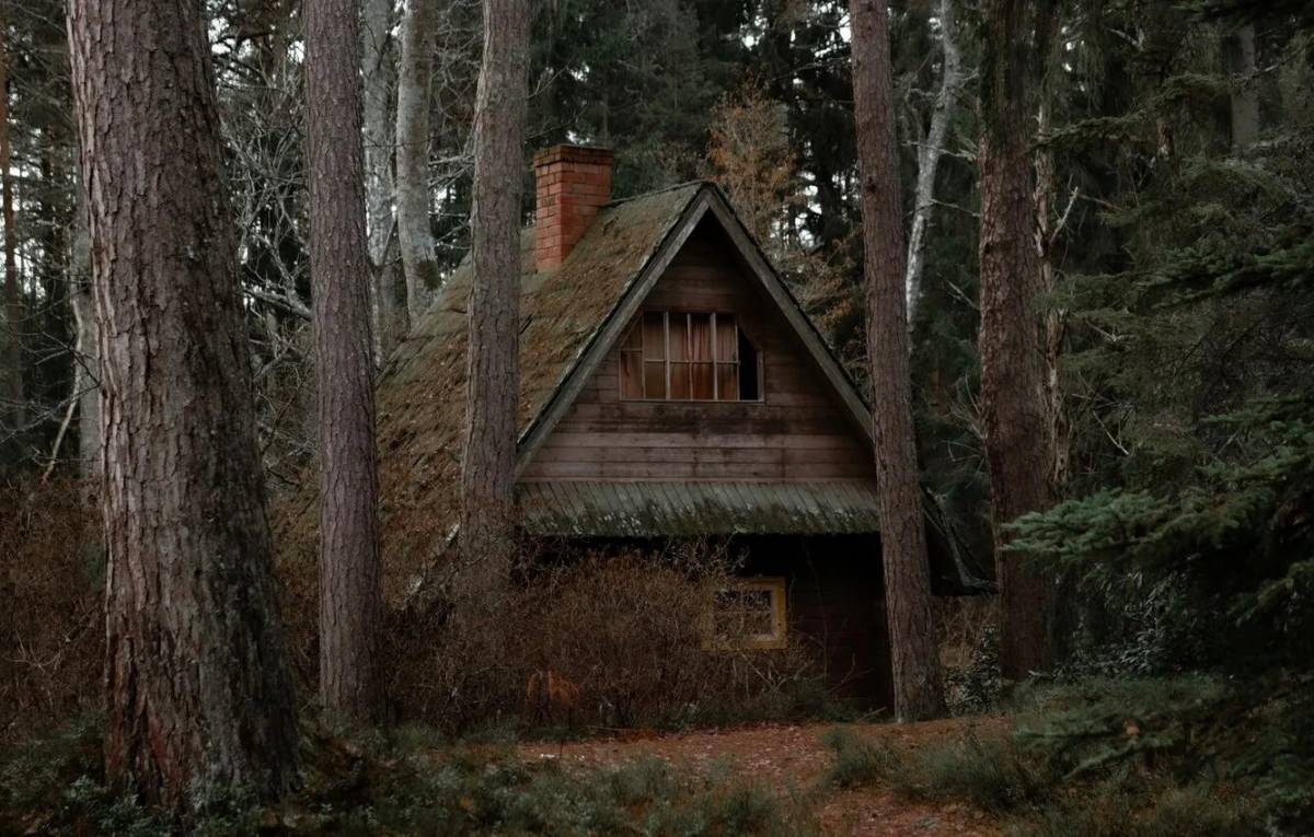 Дом в лесу #24