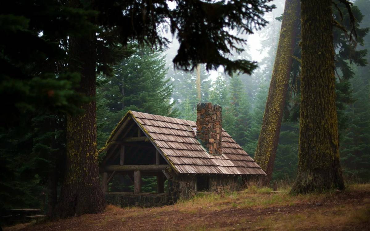Дом в лесу #27