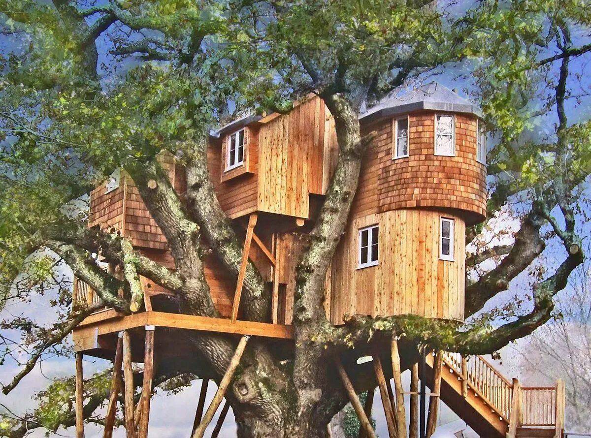 Дом на дереве #1