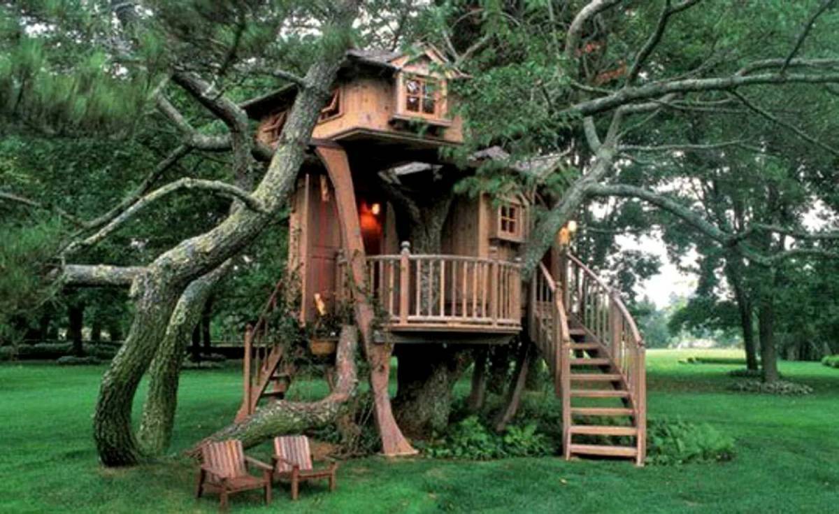 Дом на дереве #2