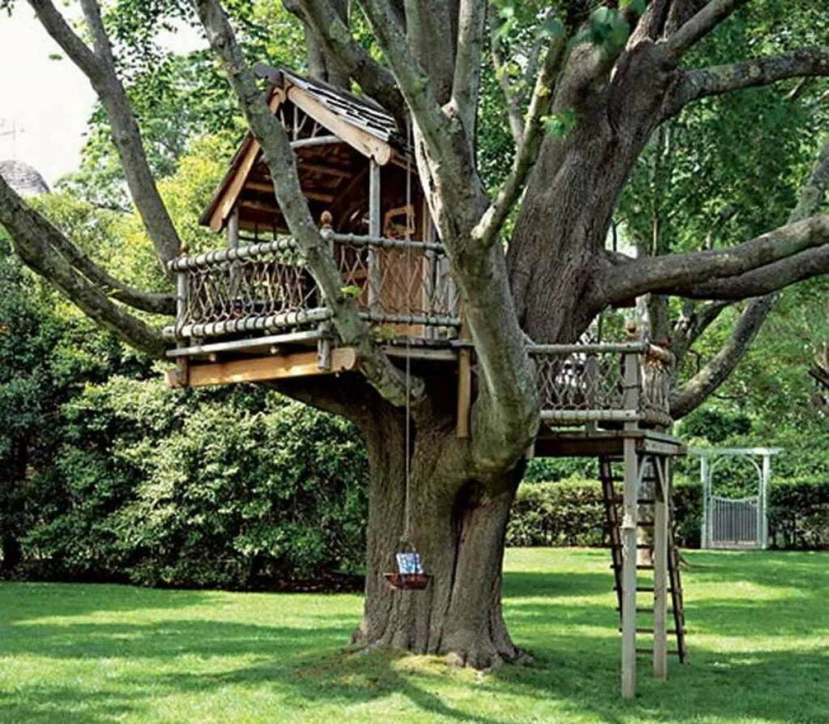 Дом на дереве #25