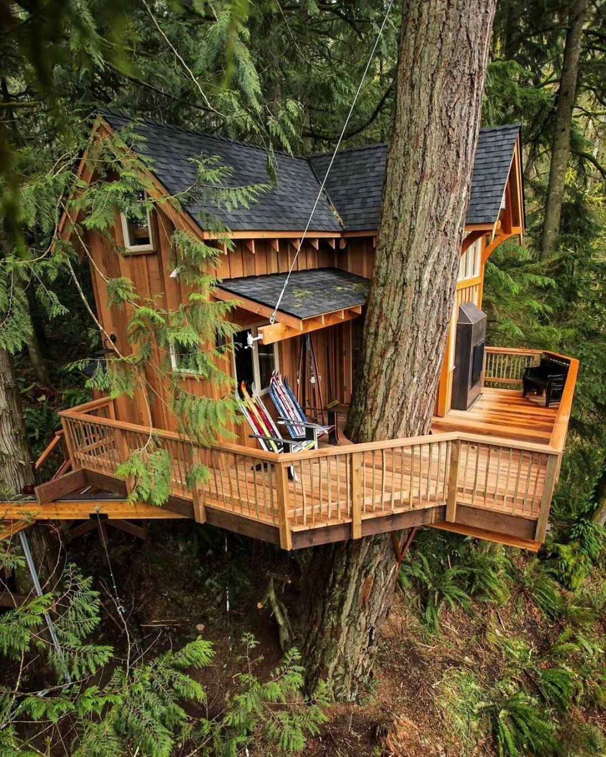 Домик на дереве. Hobbit Treehouse, США. Treehouse домик на дереве. Rumah pohon Treehouse отель. Дэна Мелани домик на дереве.