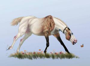 Раскраска долговязая лошадь #11 #295167