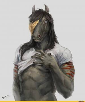 Раскраска долговязая лошадь #16 #295172